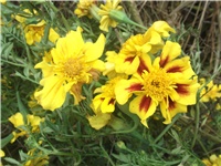 02288eef-Picture 014.jpg